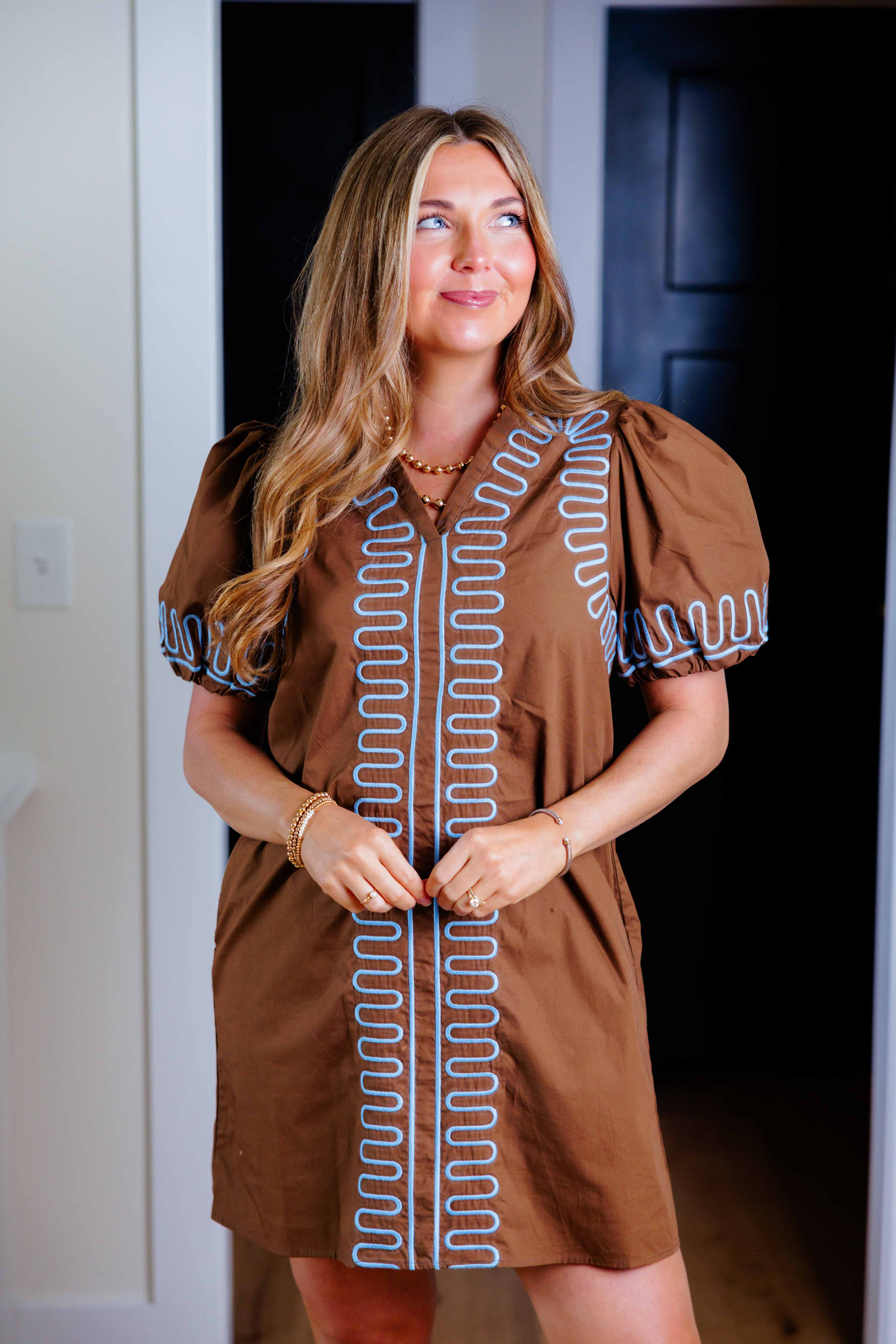 Brown Embroidered Mini Dress