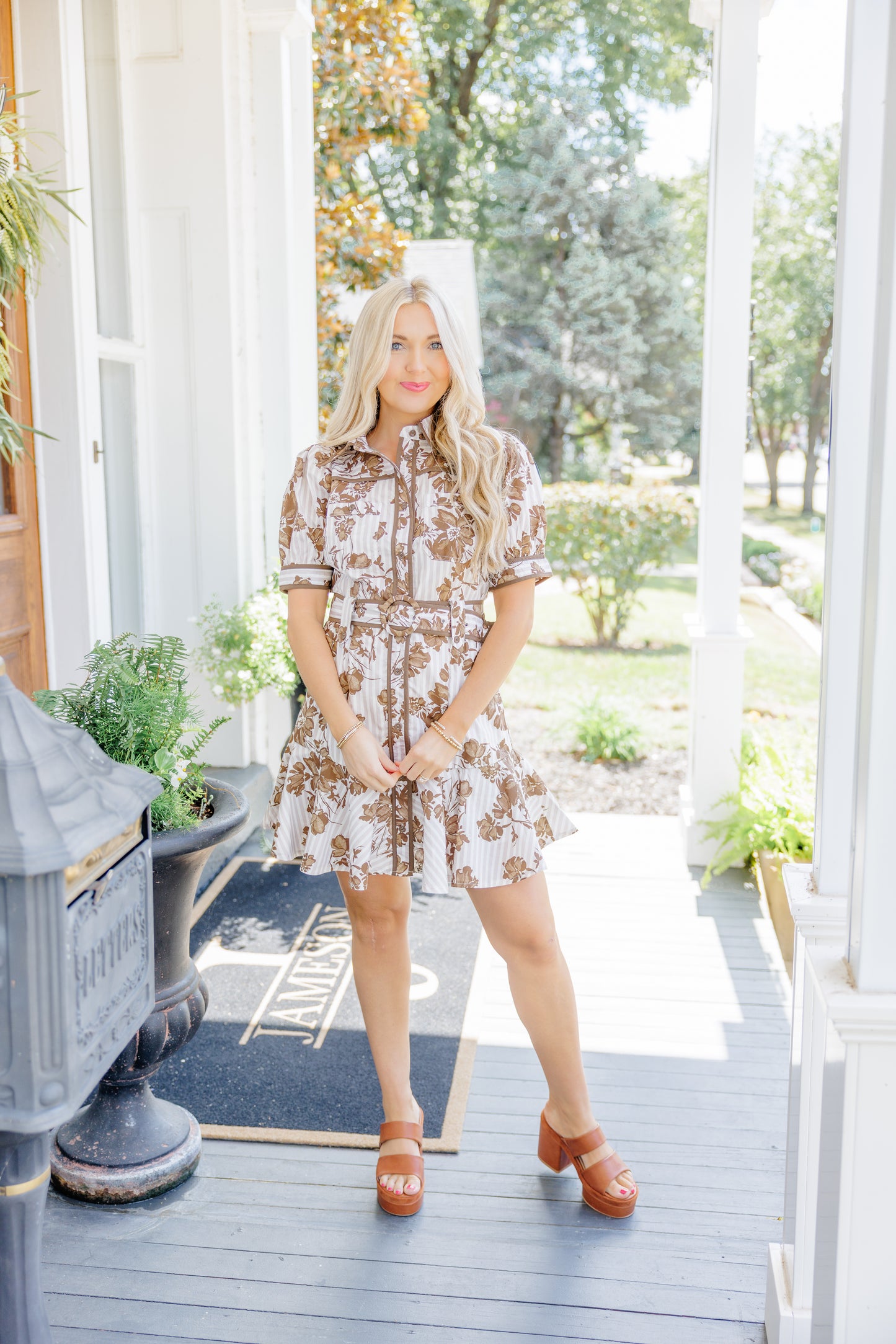 Brown Floral Stripe Mini Dress