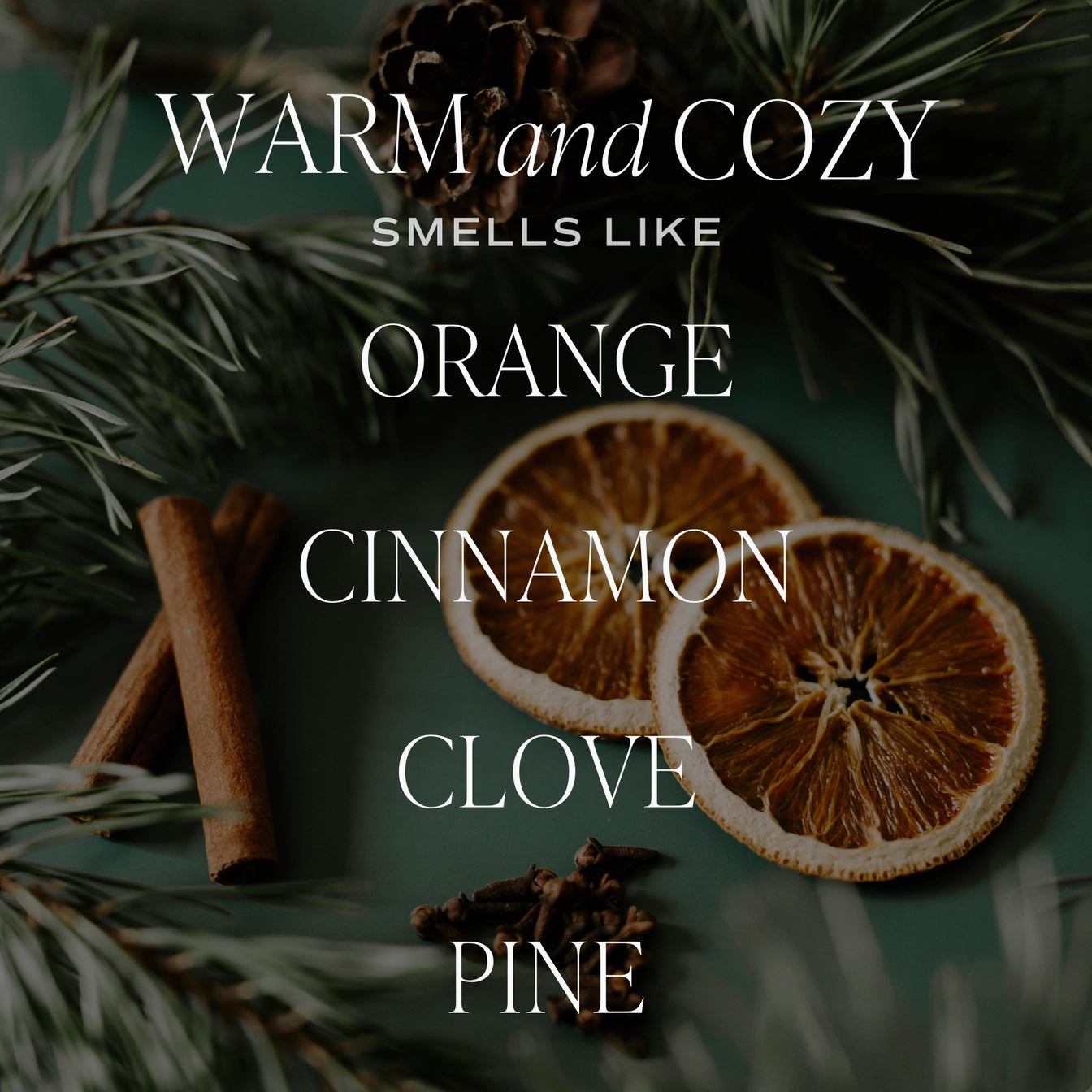 Warm and Cozy Hanging