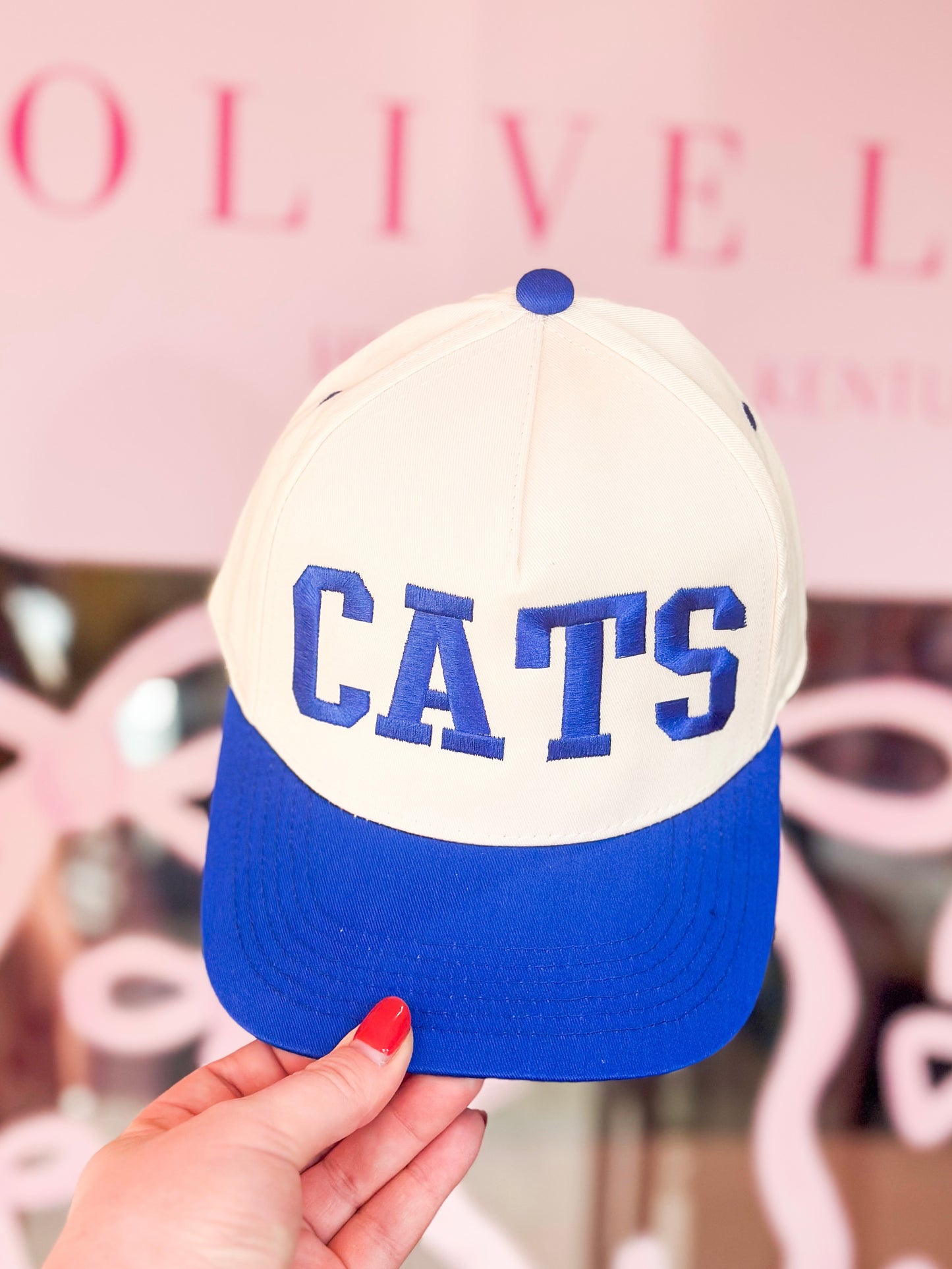 Cats Embroidered Trucker Hat