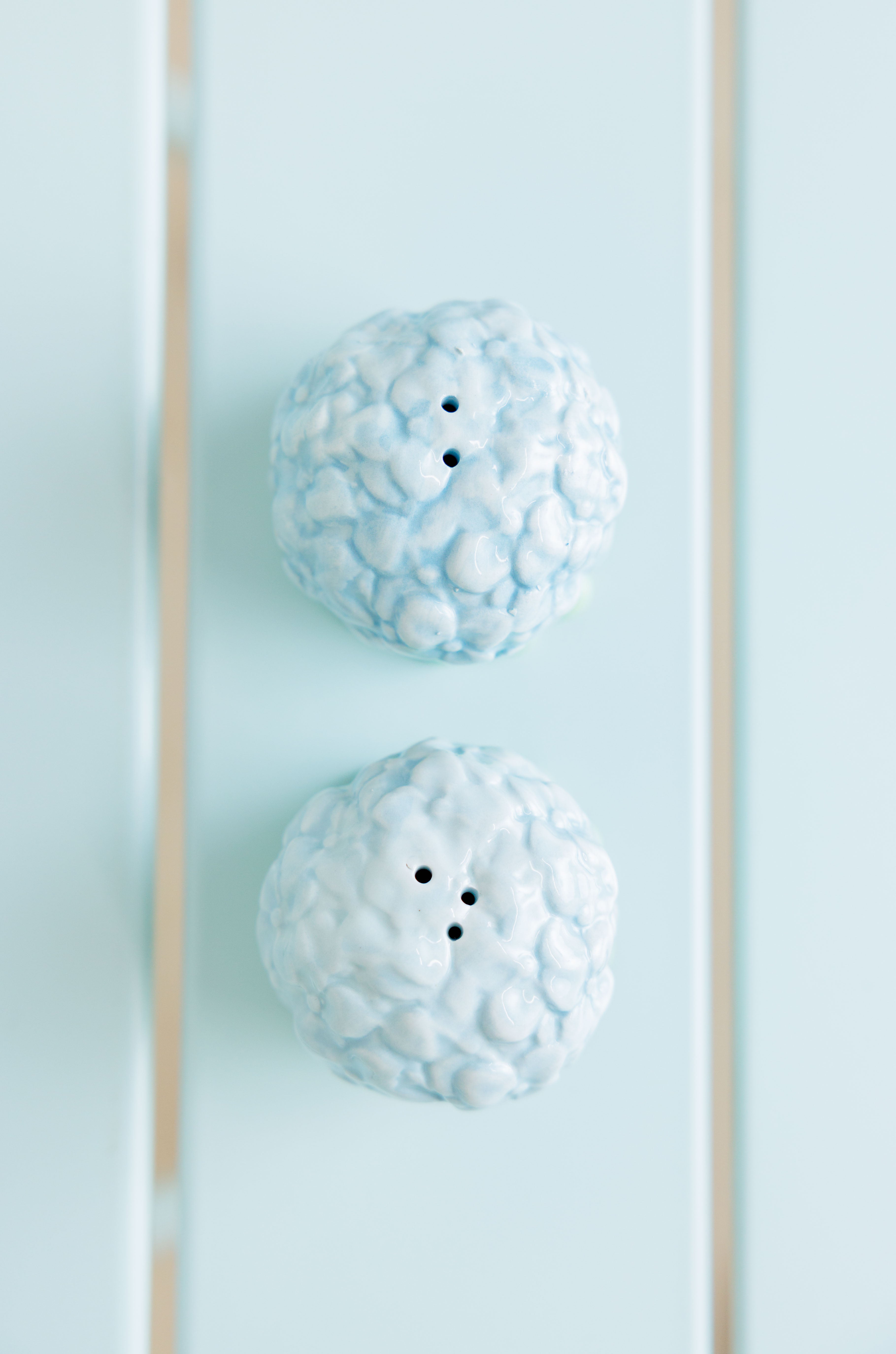 Hydrangea Salt & Pepper Shakers