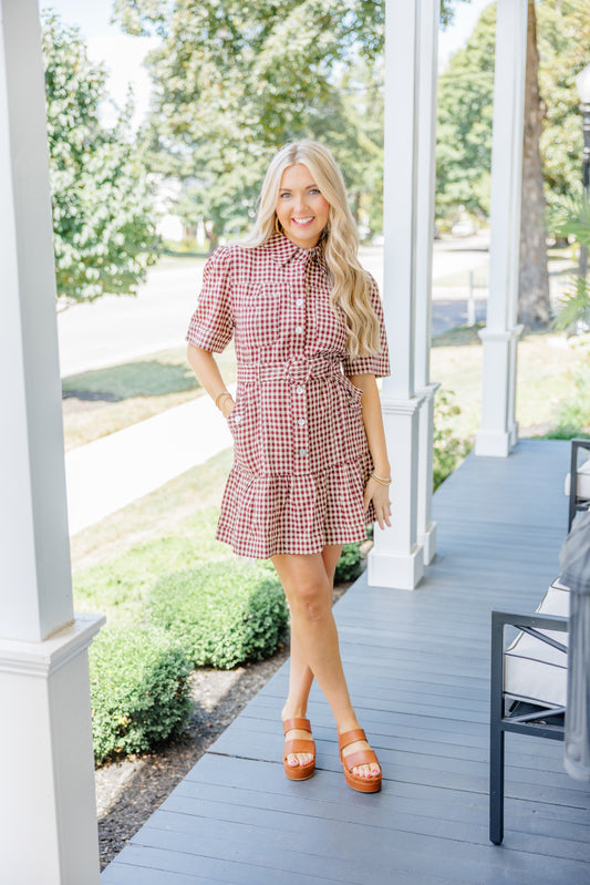 Erika Checkered Belted Dress