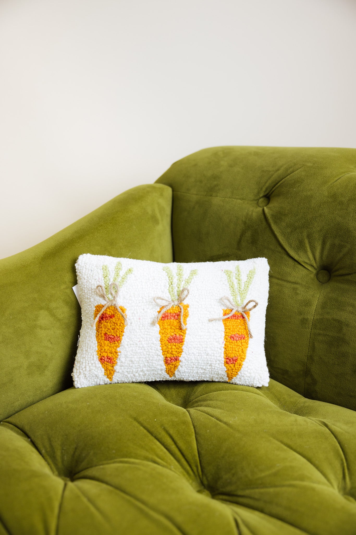 Carrots Hook Pillow