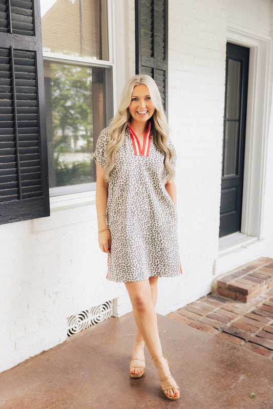 Leopard Denim Stripe Dress