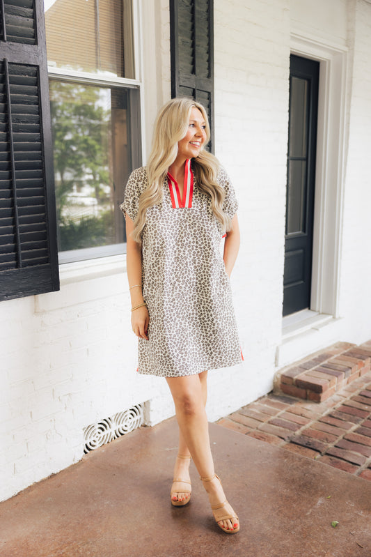 Leopard Denim Stripe Dress